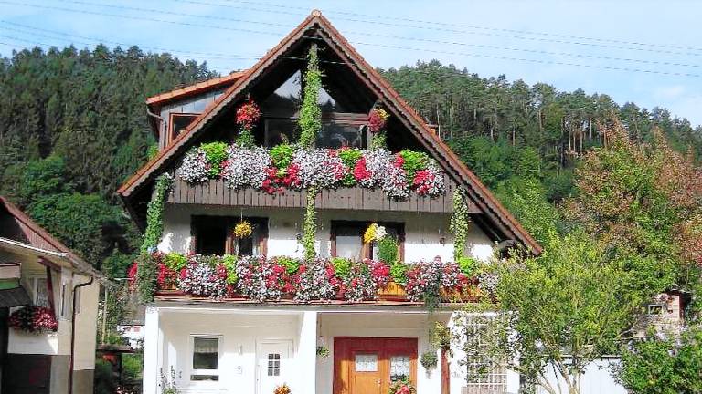 Ferienwohnung Gutach (Schwarzwaldbahn)