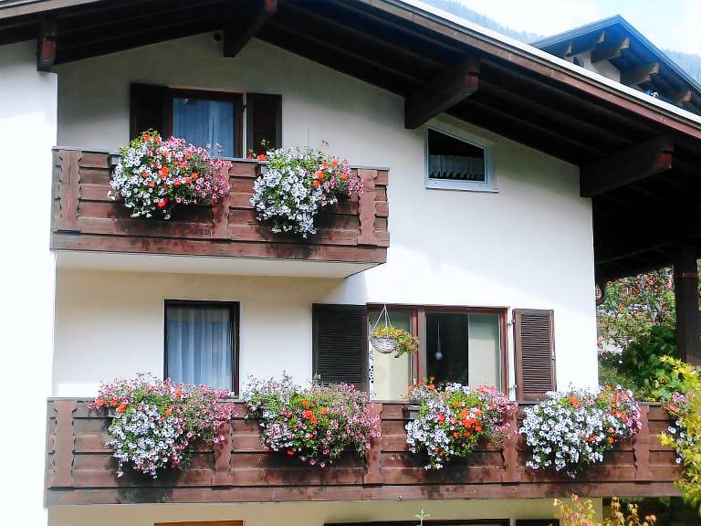 Haus Patria — photo 3