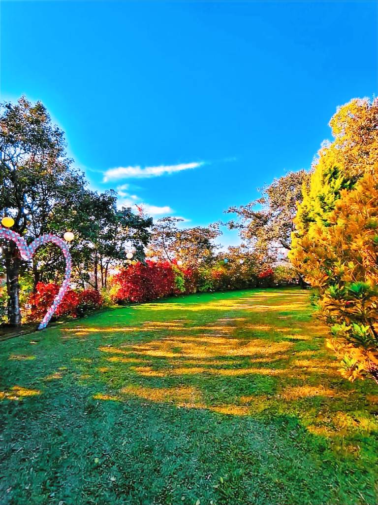 Bhagat's Lakeview villa — photo 4