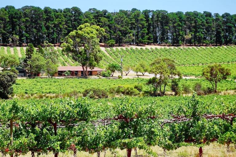 Hus McLaren Vale