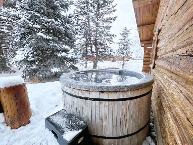 Cabin Driggs