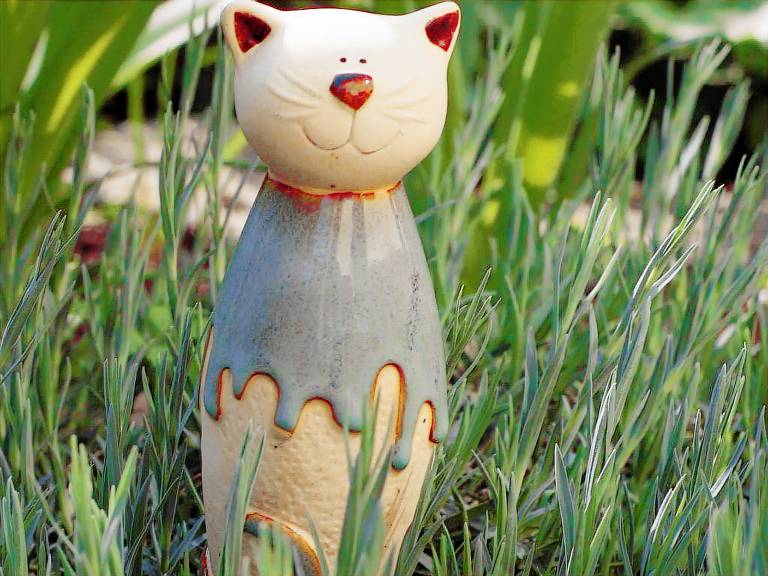 Ferienhaus Bad Suderode