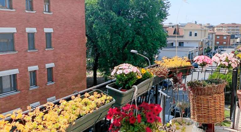 Appartamento Novara