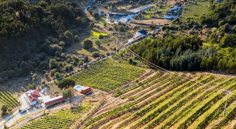 Farm with garden, terrace & pool in Arganil