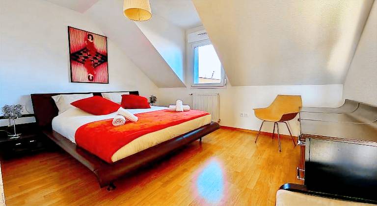 Nice rental apartment | Pet-friendly in Strasbourg
