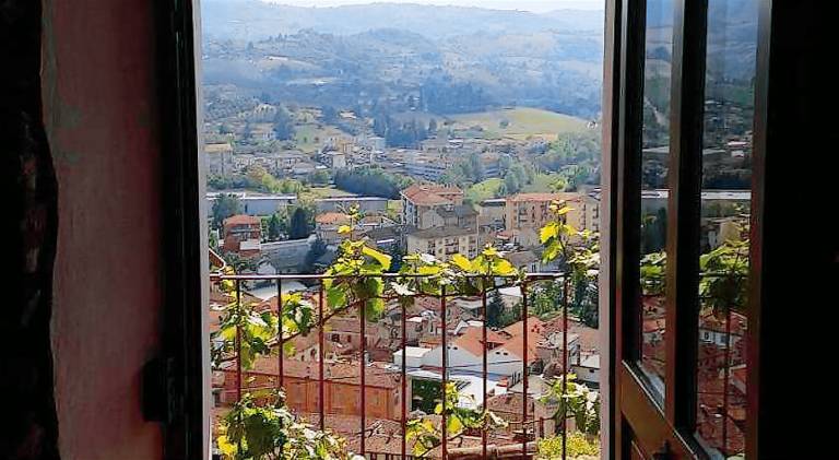 View & Wine — photo 5