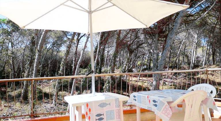 Pleasant rental apartment with patio | Beach nearby | Pets allowed — photo 4
