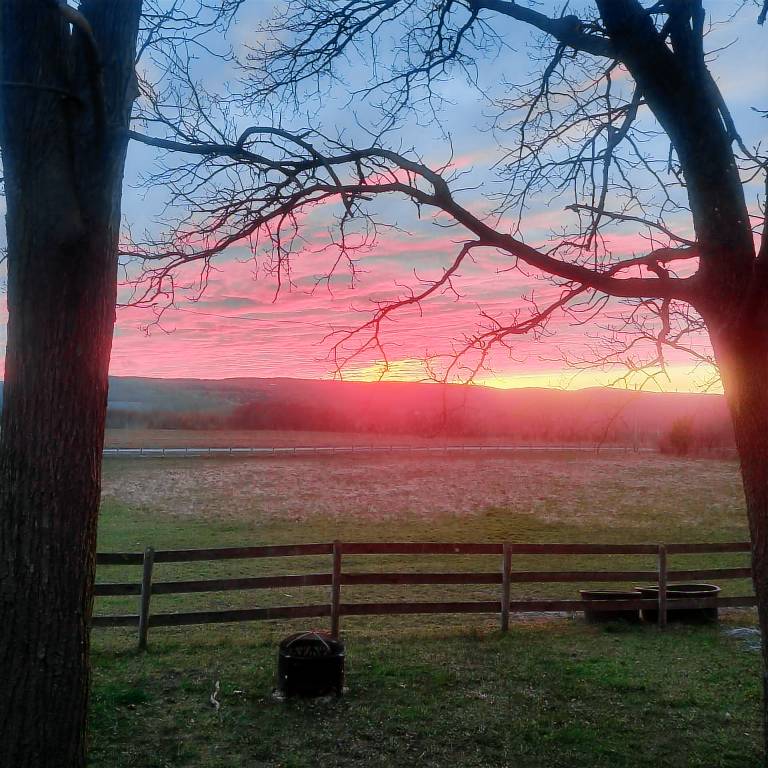 Cabin Rushville