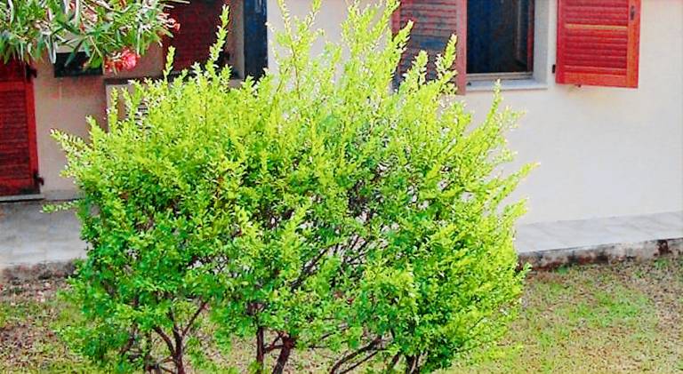 Vacation home with garden & patio in Loiri Porto San Paolo