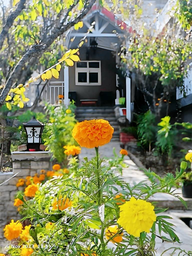 Nature s Vibe Stays Mukteshwar 4 BHK Holiday Home