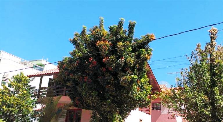 House with 3 rooms for 12 persons in Bombinhas