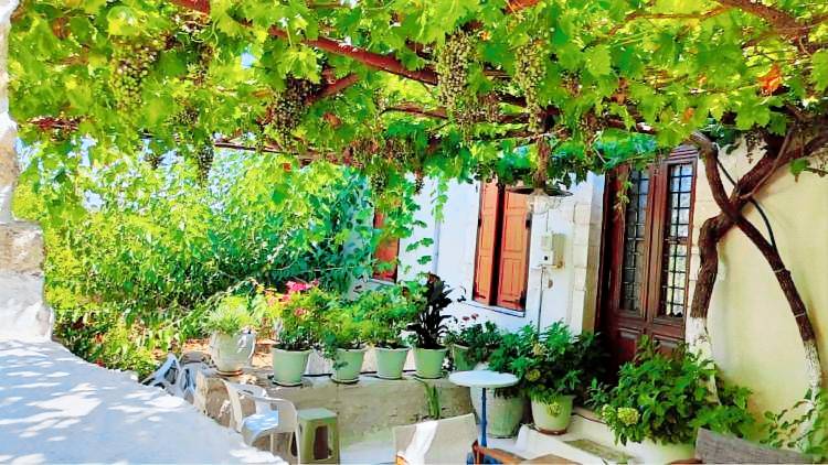 Vacation home with garden, patio & BBQ — photo 5