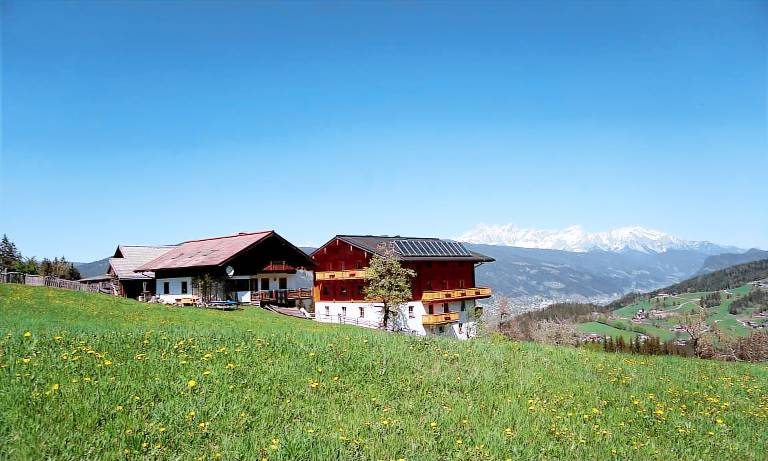 foto1