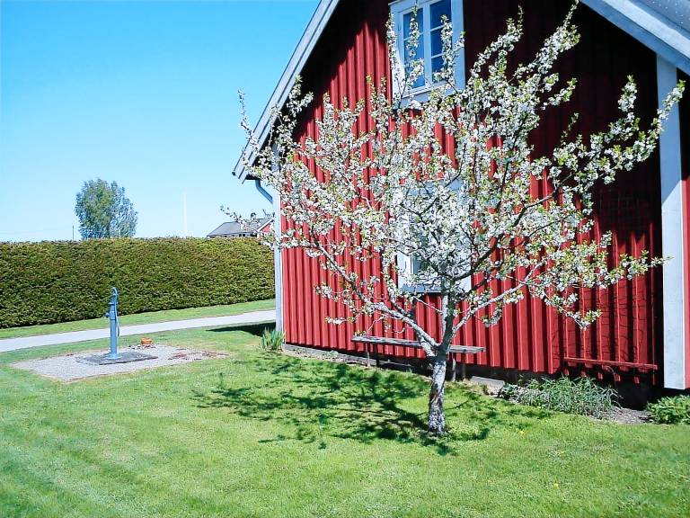 Lanthus  Växjö