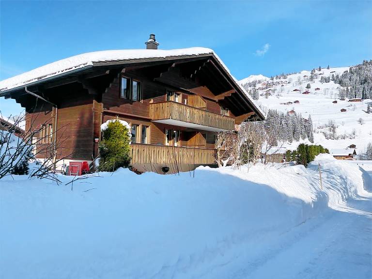 Ferienwohnung Lenk