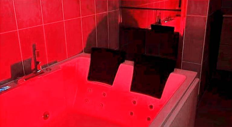 Holiday apartment | Dogs allowed in Chasse-sur-Rhone