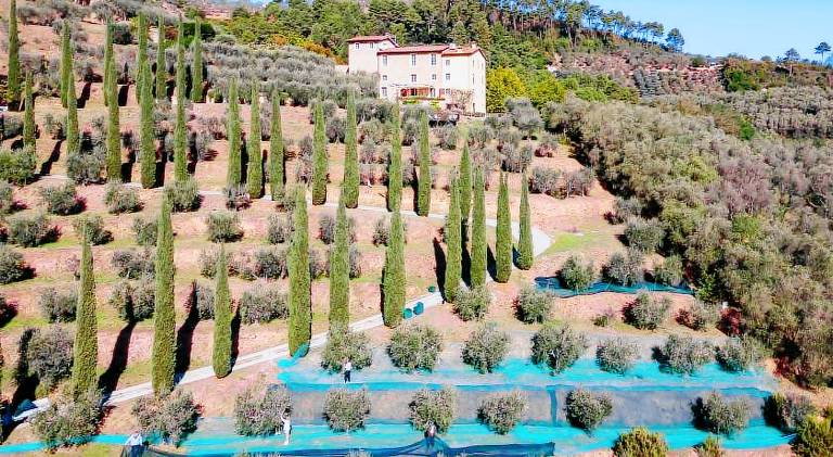 Villa with pool in Capannori