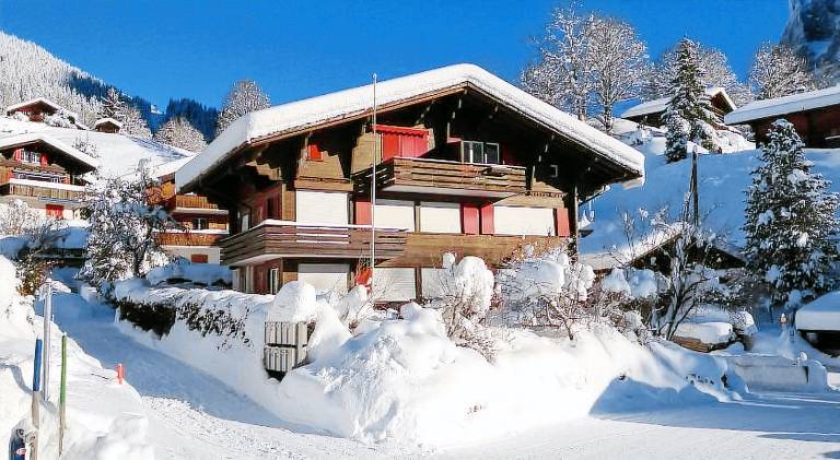 Fantastic view, cosy flat in chalet Bergfink — photo 3
