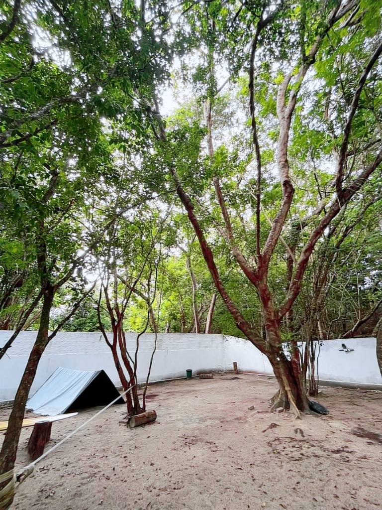 Camping Do Jacaré — photo 4