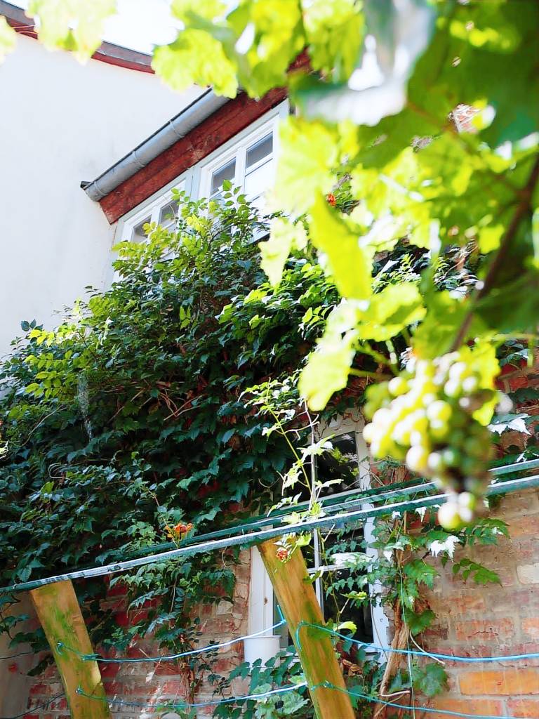 Apartment with 1 room for 2 persons in Quedlinburg