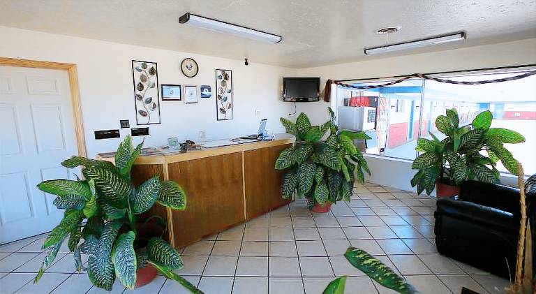 Shamrock Country Inn — photo 4