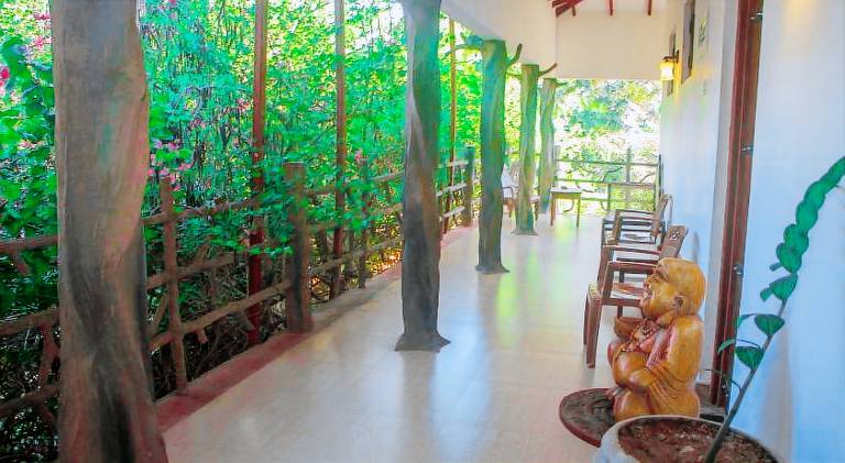 Hungry Lion Resort — photo 4