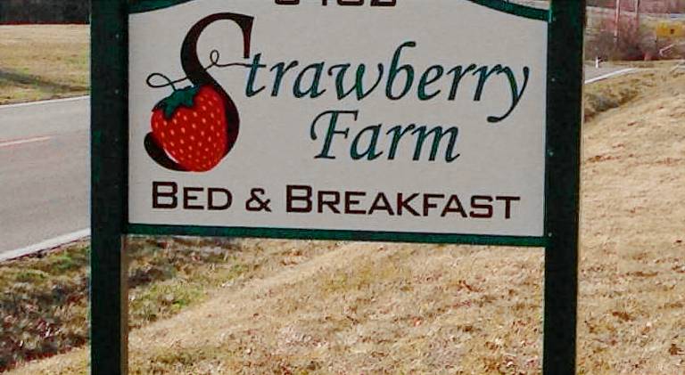 Strawberry Farm B and B — photo 5