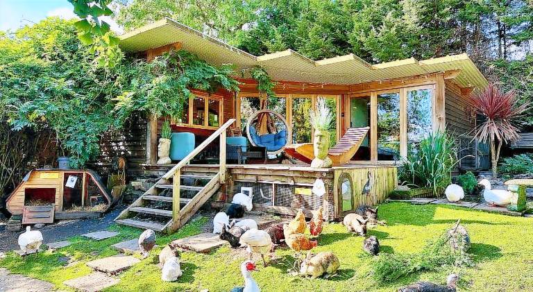 The Base Vegan Retreat Animal Sanctuary in Bristol