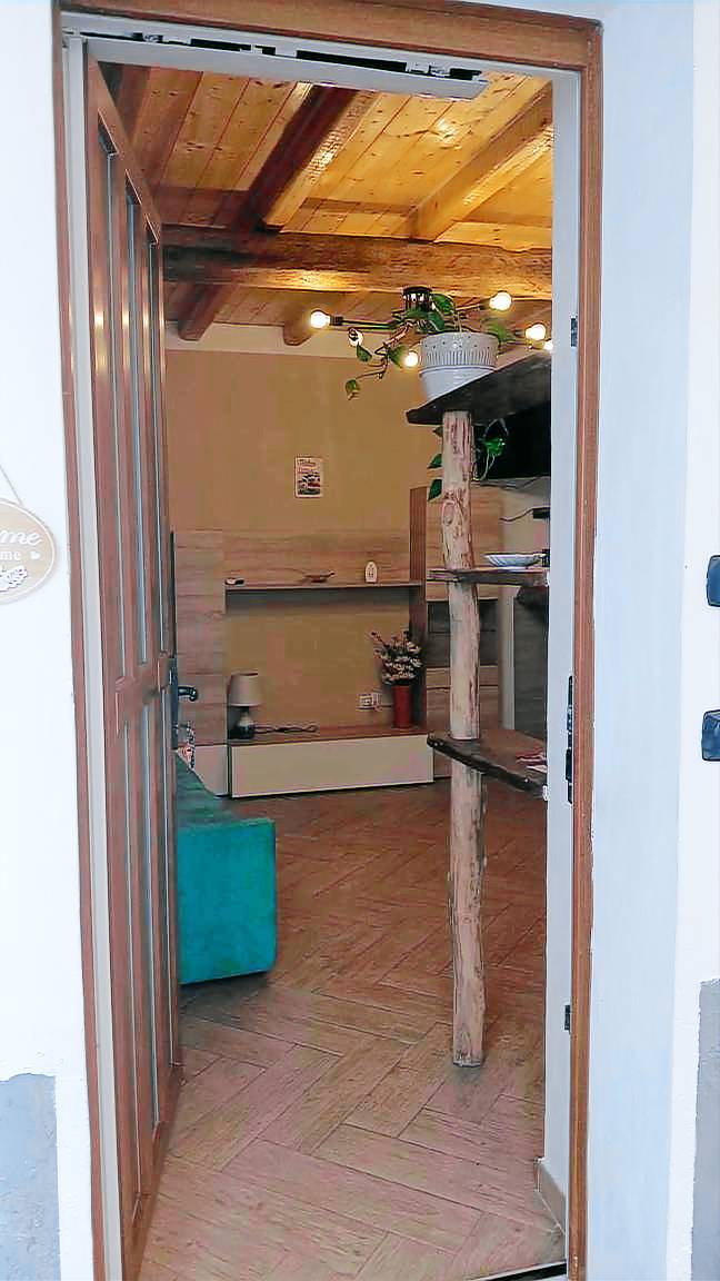 Rental apartment with patio & fast internet | Mountain view | Dogs allowed — photo 3
