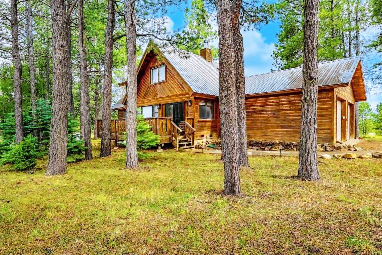 Cabin Angel Fire