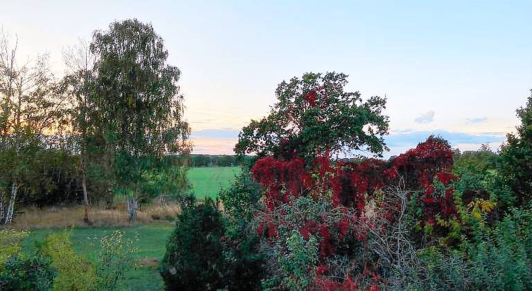 Nice rental apartment with yard | Pet-friendly — photo 4