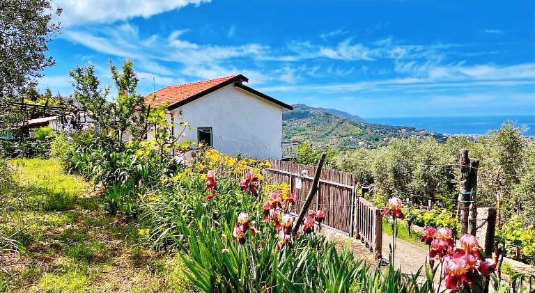 Beautiful vacation home | Pets allowed in Perdifumo