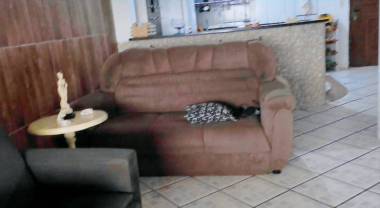 Beautiful house | Pets allowed — photo 5