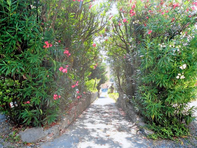 Villa Celle ligure