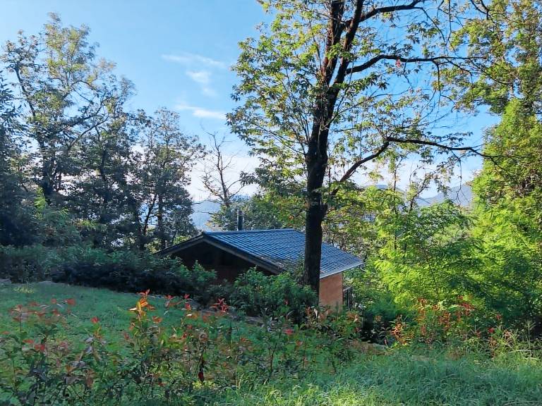 Lovely house with yard, patio & barbeque | Mountain view | Pets allowed — photo 2