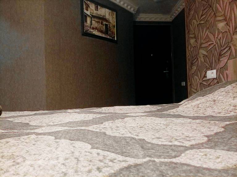 Holiday apartment | Suitable for remote work | Pet-friendly — photo 5