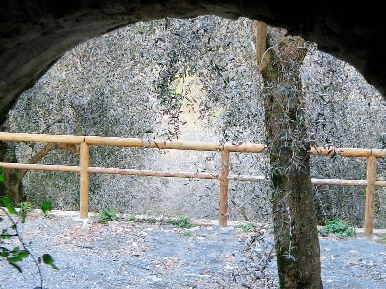 Privatzimmer San Gregorio