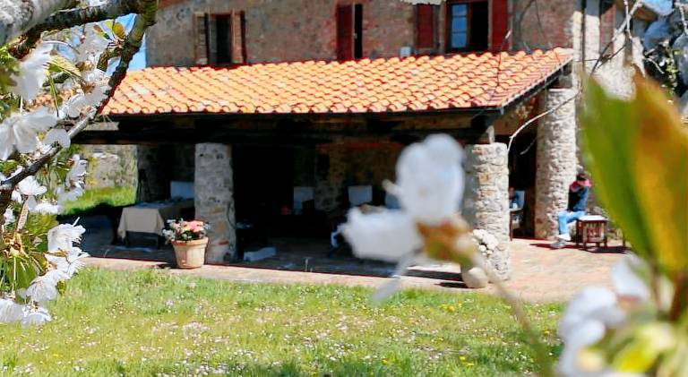 Agriturismo Monte Gusciani in Massa Marittima