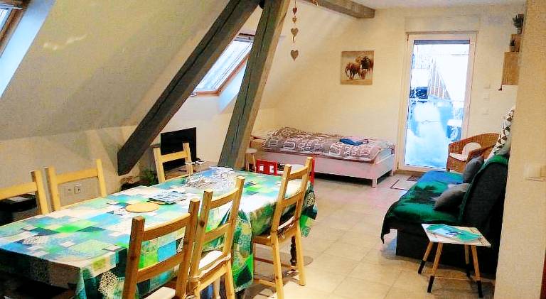 Beautiful apartment | Pets are welcome in La Petite-Pierre