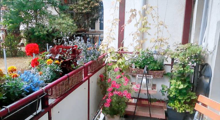 Holiday apartment | Dogs allowed — photo 5
