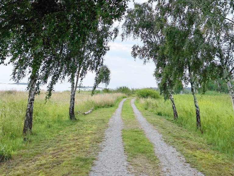 Ferienhaus in Ragnabo, Bergkvara f&uuml;r max. 6 Personen