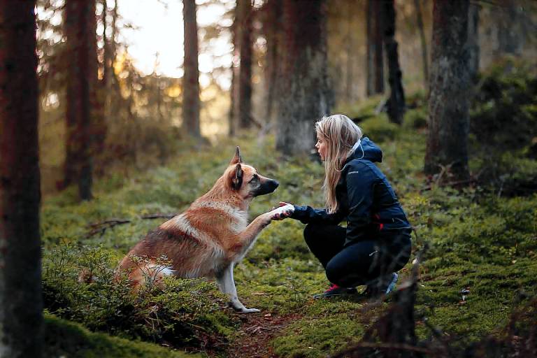 Vacation home with hot tub, yard & patio | Dogs allowed in Helsinki
