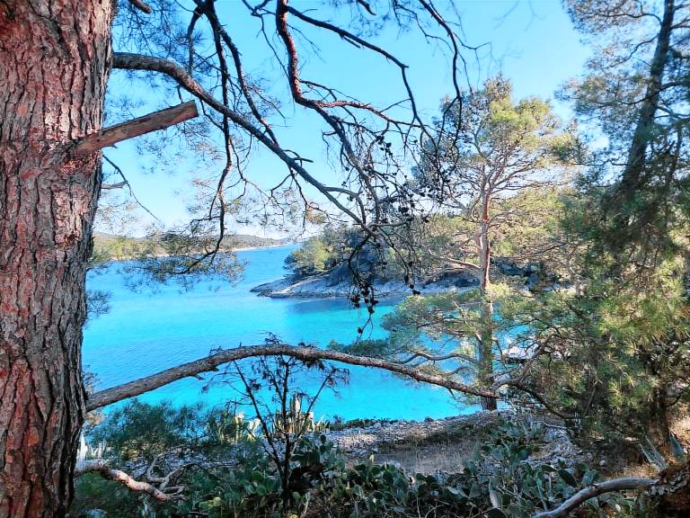 Studio asunto  Mali Losinj