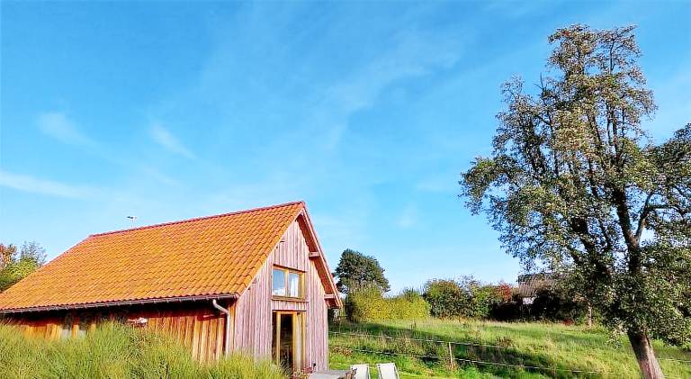 Lovely house with sauna, pool & jacuzzi | Pet-friendly in Hasselt