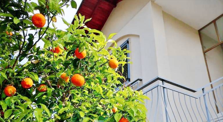 Apartment with garden & patio — photo 4