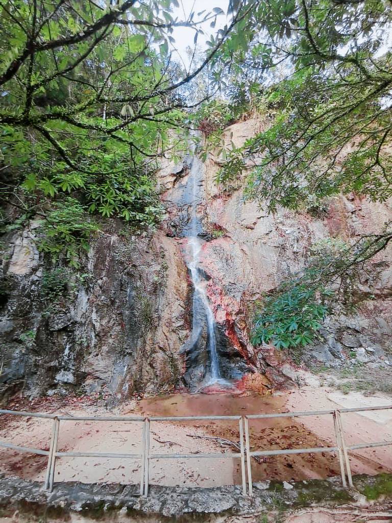foto6