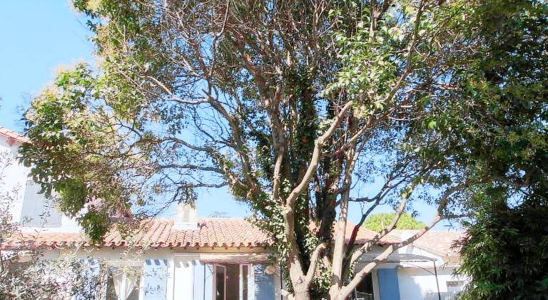 House with garden & patio in Arles