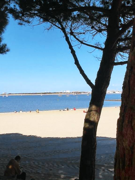 Appartement La Rochelle