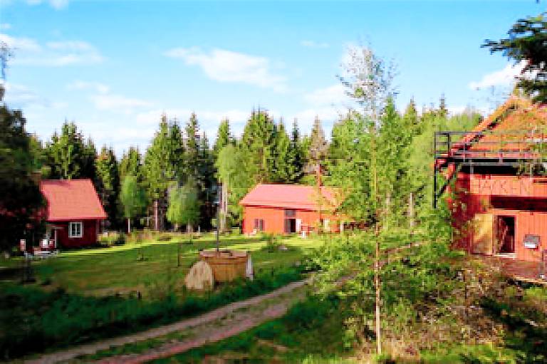foto1