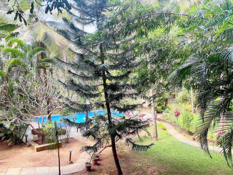 Apartment Agonda